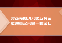 奥西诺的纳米比亚黄金发现看起来是一颗宝石